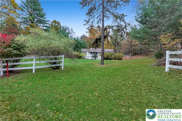 a garden with trees in the background