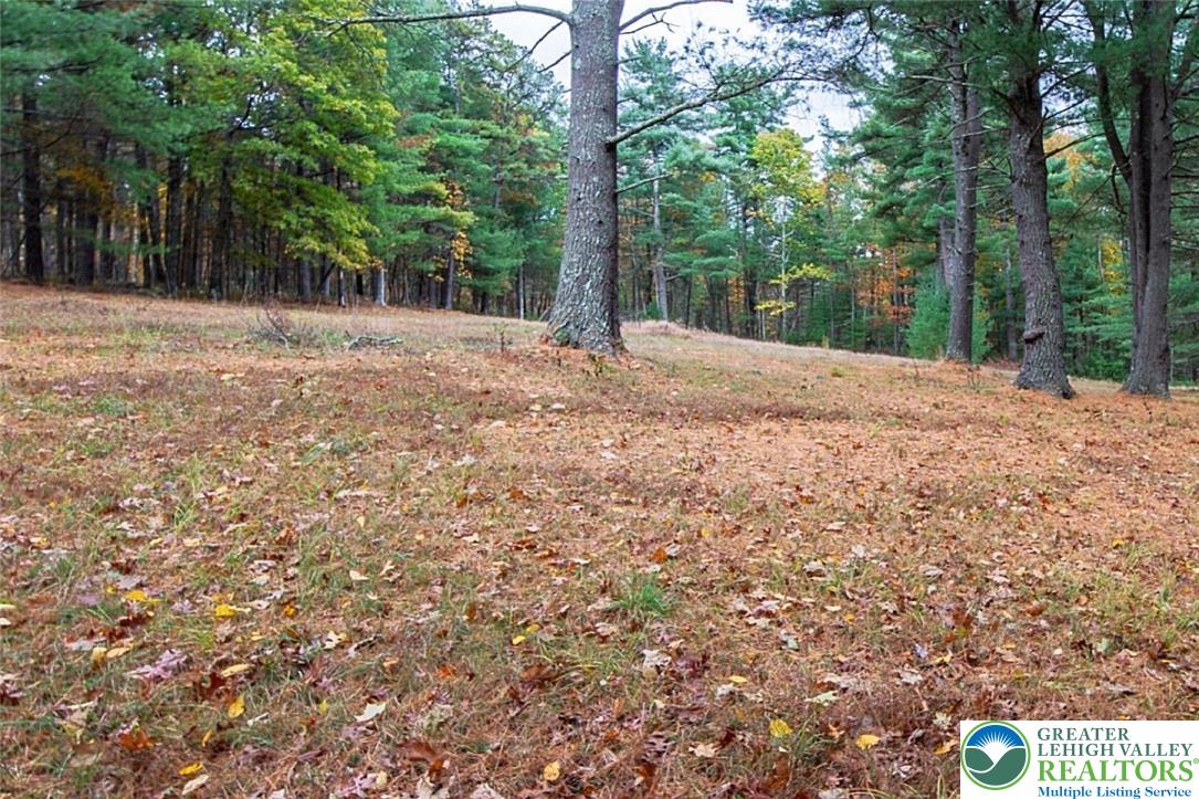 139 Johnny Bee Road Dingmans Ferry, PA 18328 - Photo 51 of 51 a backyard of a house with large trees and plants