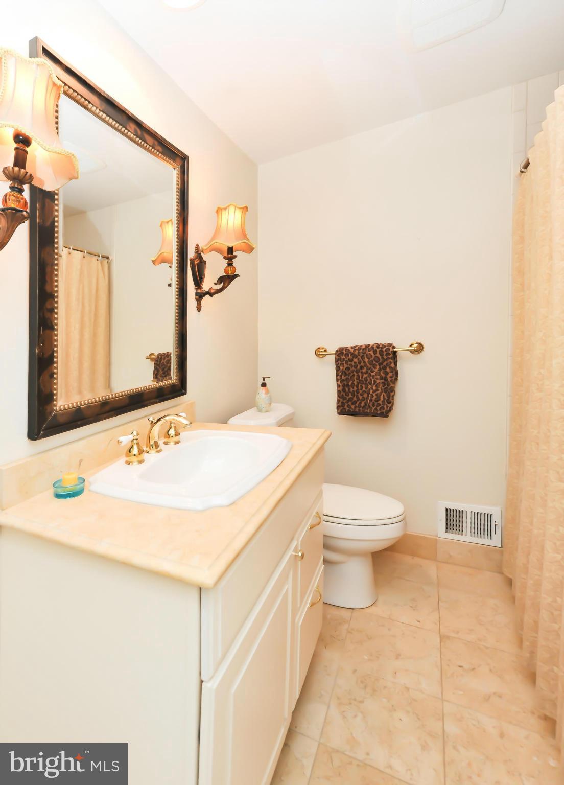 8417 Riverside Road Alexandria, VA 22308 - Photo 14 of 30 a bathroom with a sink and a toilet
