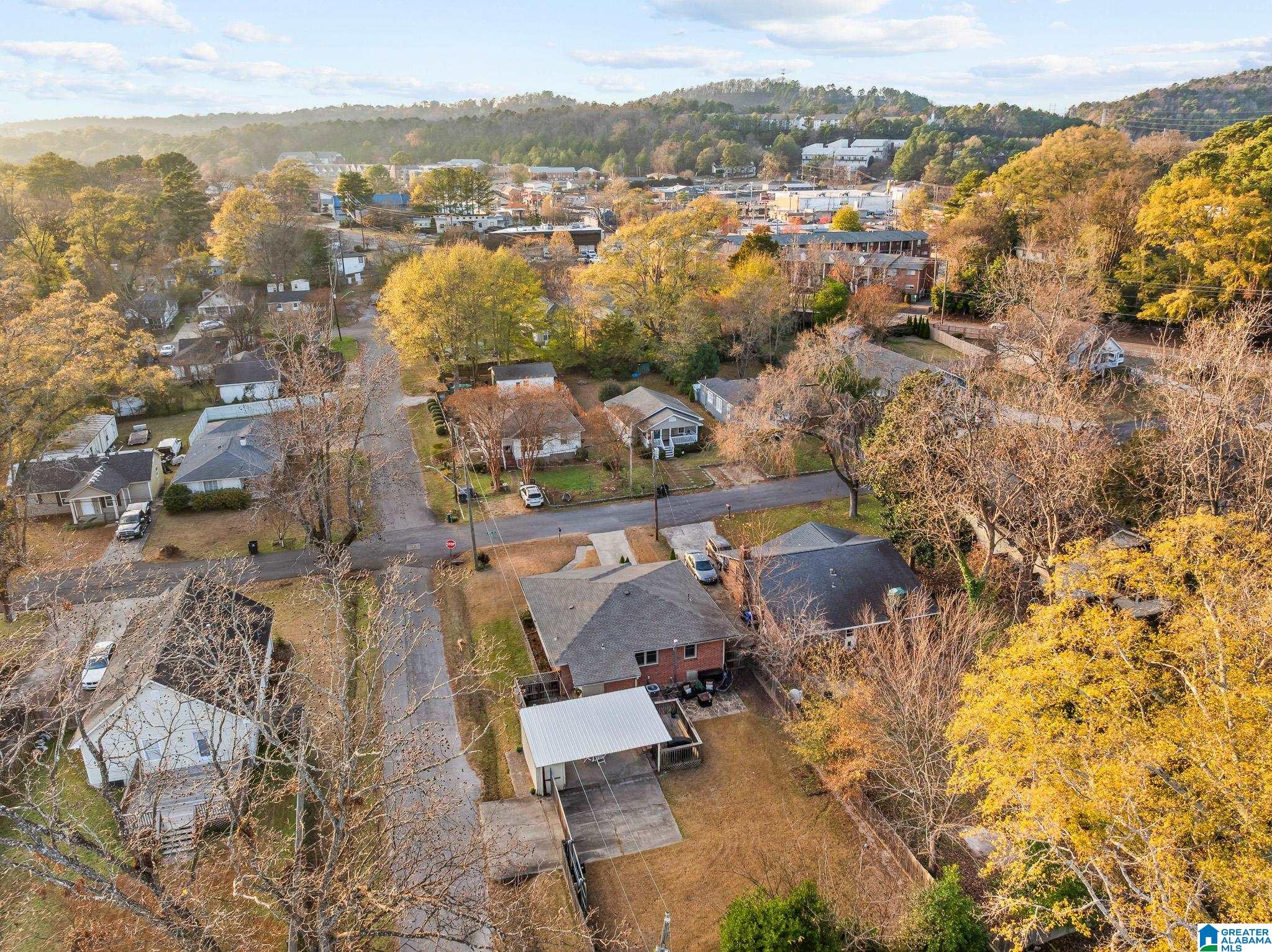 129 Bush Street Birmingham, AL 35210 - Photo 51 of 51