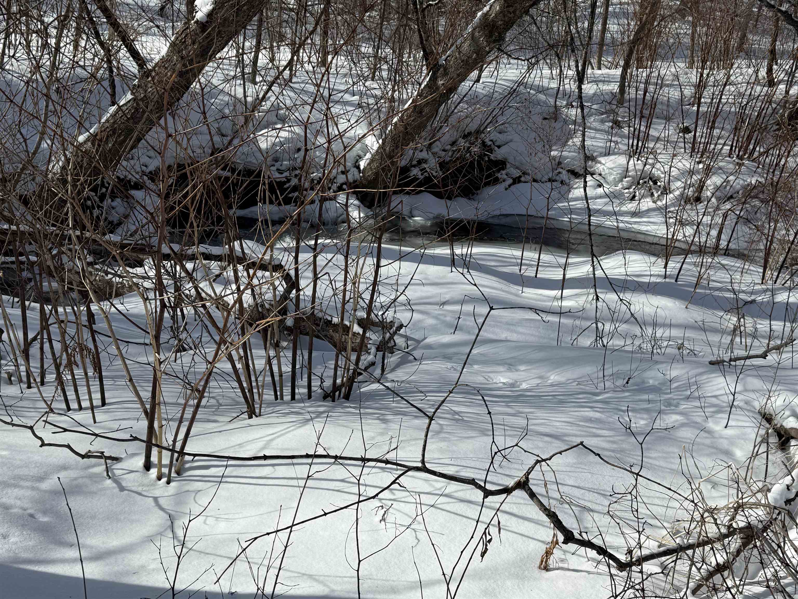 1998 Campbell Road Bethel, VT 05032 - Photo 11 of 24