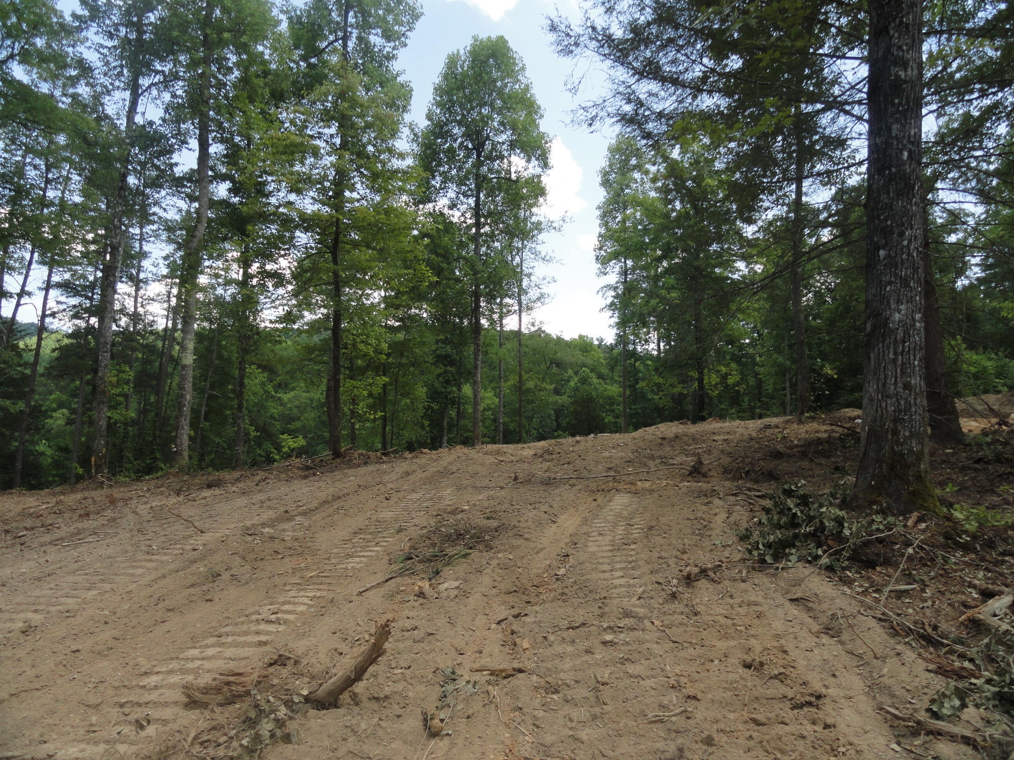 2277 Tellico Reliance Road Reliance, TN 37369 - Photo 22 of 34 a view of a out door space