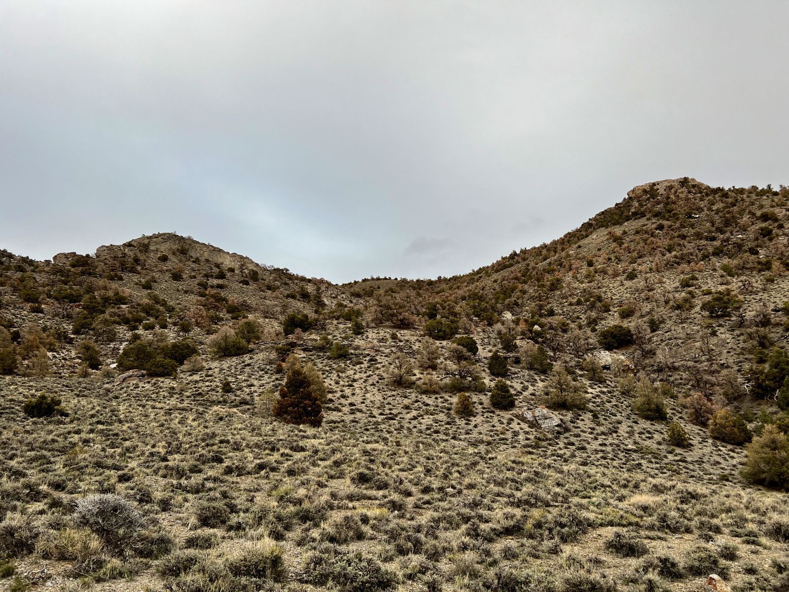 Na Ridge Montello, NV 89830 - Photo 2 of 25