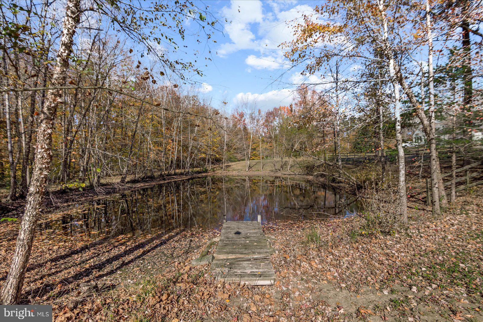 316 Copper Line Road Bumpass, VA 23024 - Photo 15 of 77 Pond with Pier