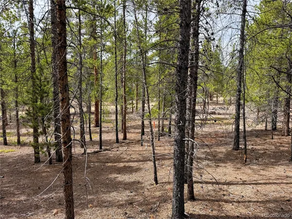 $140,000 | 360 Peak View Drive, Twin Lakes, CO 81251