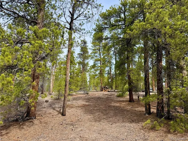 $140,000 | 360 Peak View Drive, Twin Lakes, CO 81251