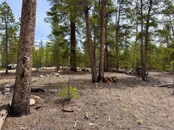 $140,000 | 360 Peak View Drive, Twin Lakes, CO 81251