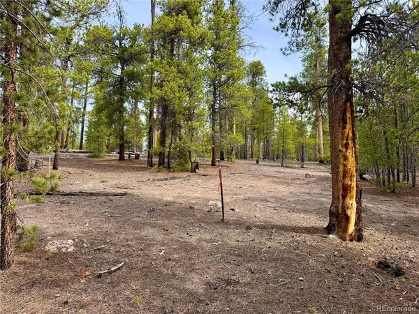 $140,000 | 360 Peak View Drive, Twin Lakes, CO 81251