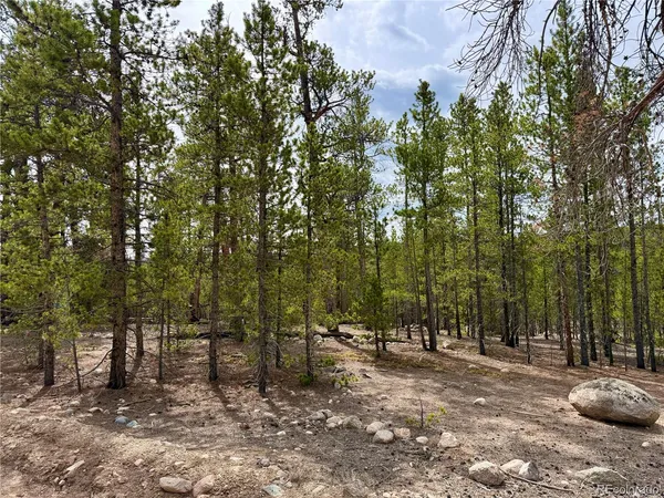 $140,000 | 360 Peak View Drive, Twin Lakes, CO 81251