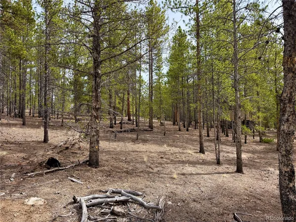 $140,000 | 360 Peak View Drive, Twin Lakes, CO 81251