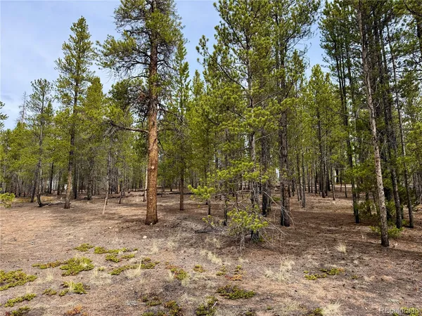 $140,000 | 360 Peak View Drive, Twin Lakes, CO 81251