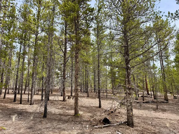 $140,000 | 360 Peak View Drive, Twin Lakes, CO 81251