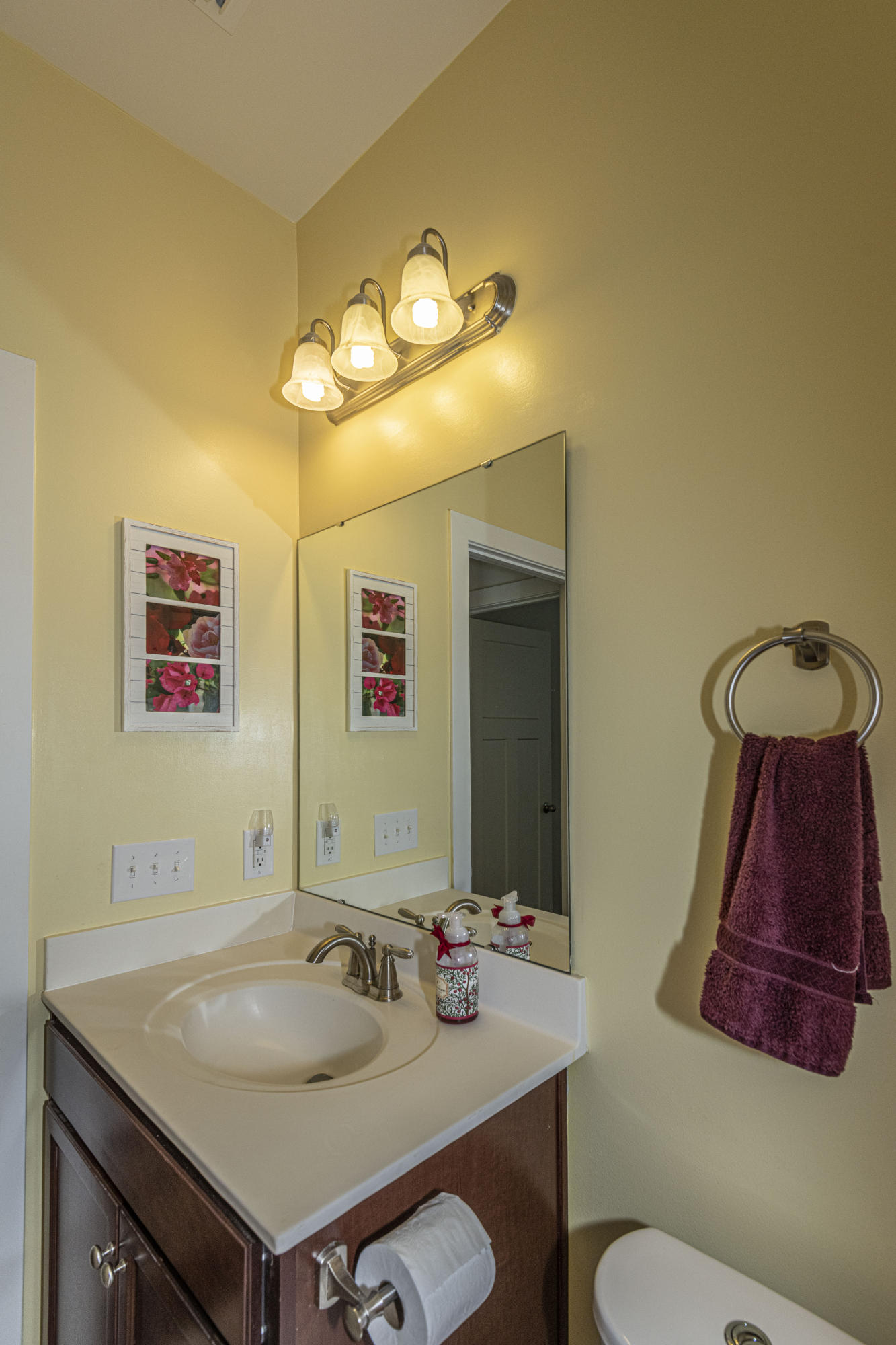 2228 Spring Hope Drive Mount Pleasant, SC 29466 - Photo 10 of 49 DSC_9979