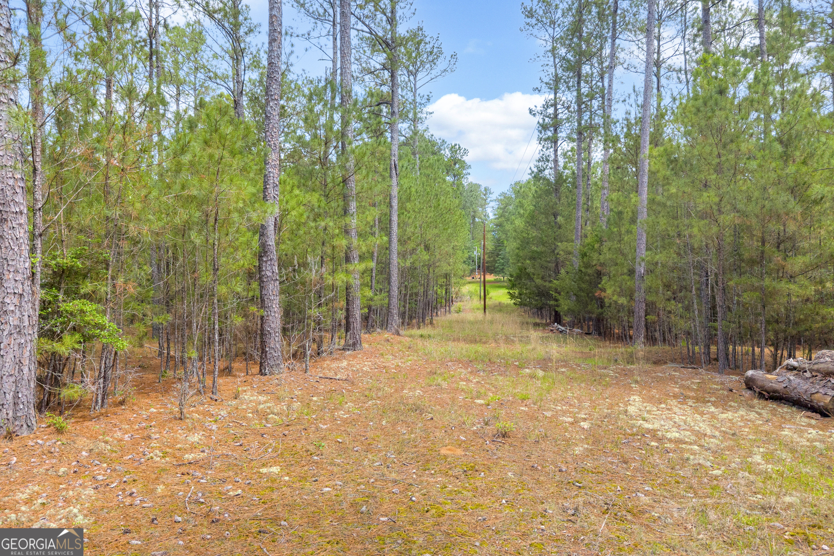 0 Clary Road Lincolnton, GA 30817 - Photo 15 of 16
