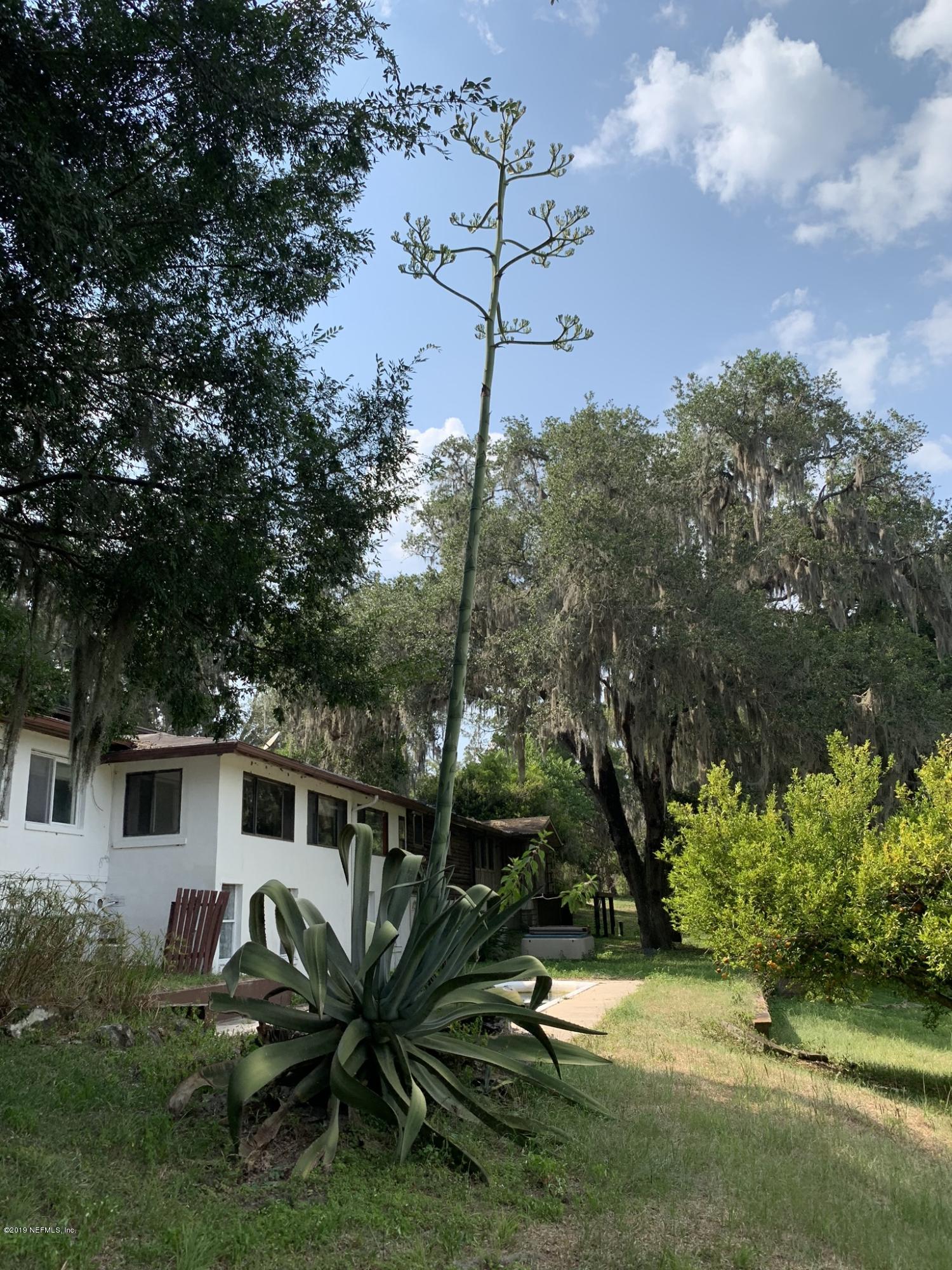 23715 Southeast Hawthorne Road Hawthorne, FL 32640 - Photo 51 of 51 IMG_6731