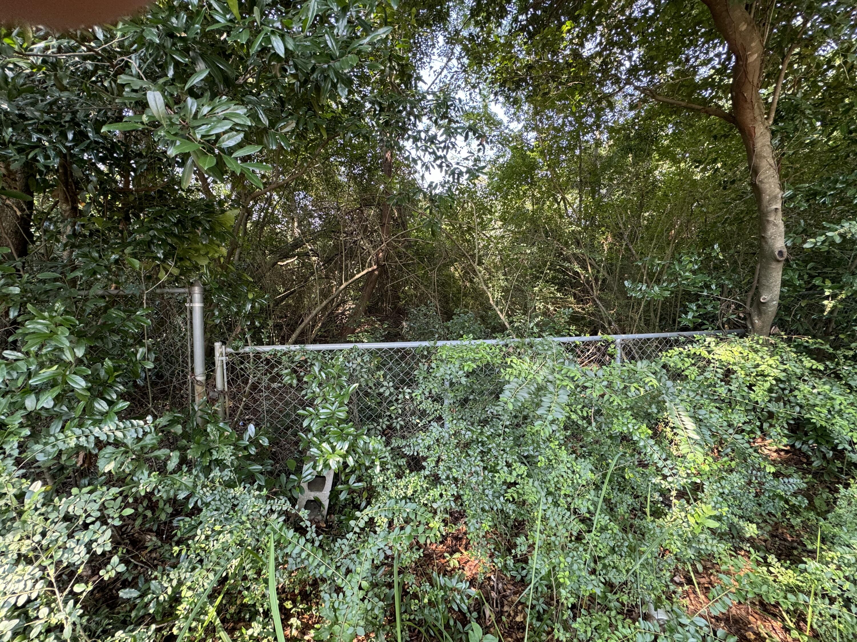 2-lots Ridge Drive Crestview, FL 32536 - Photo 6 of 6 IMG_5676