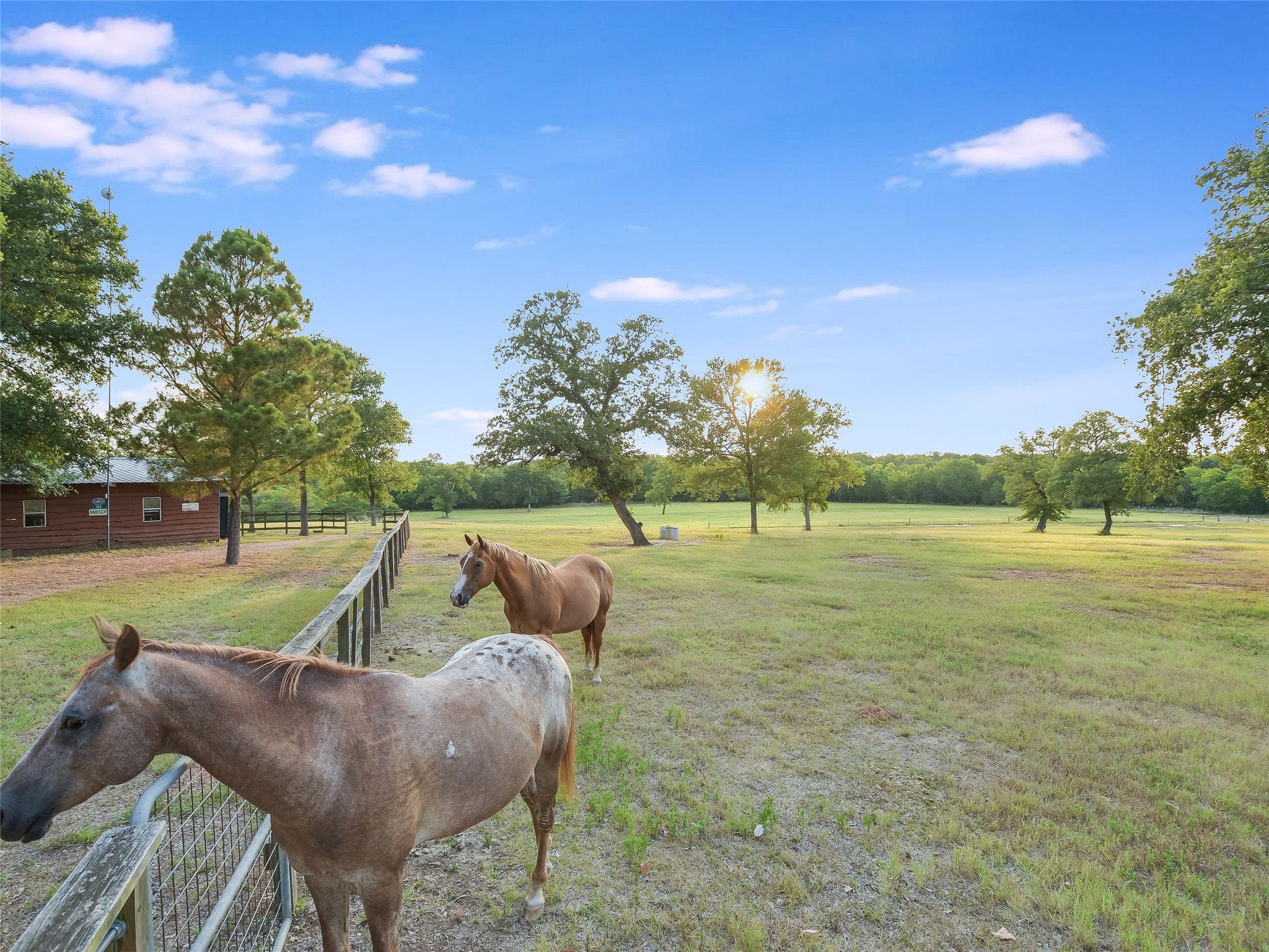 762 Karisch Road Smithville, TX 78957 - Photo 29 of 40 a view of yard with green space and trampoline