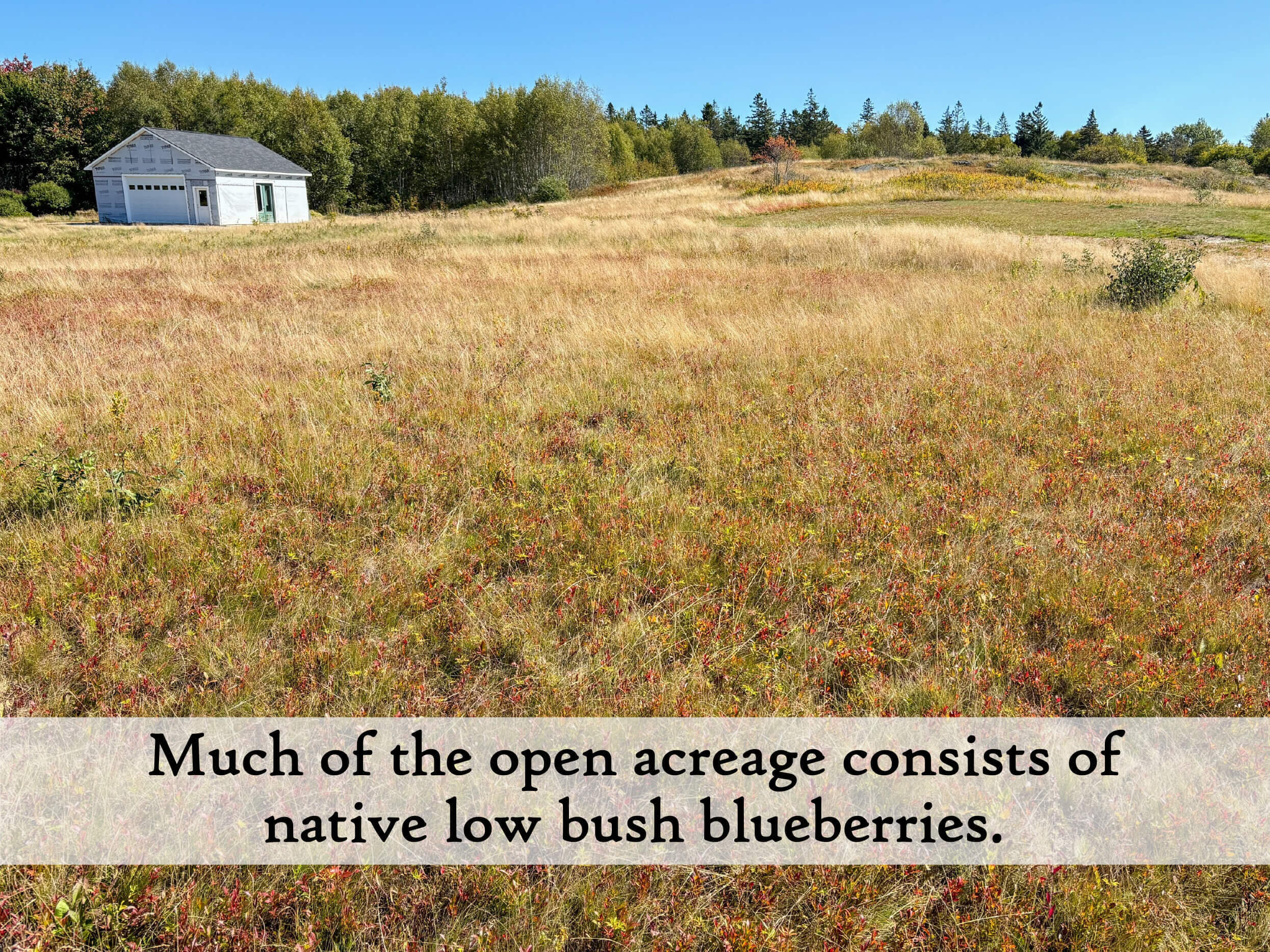 229-230 Ficketts Point Road Milbridge, ME 04658 - Photo 21 of 27 blueberries - label