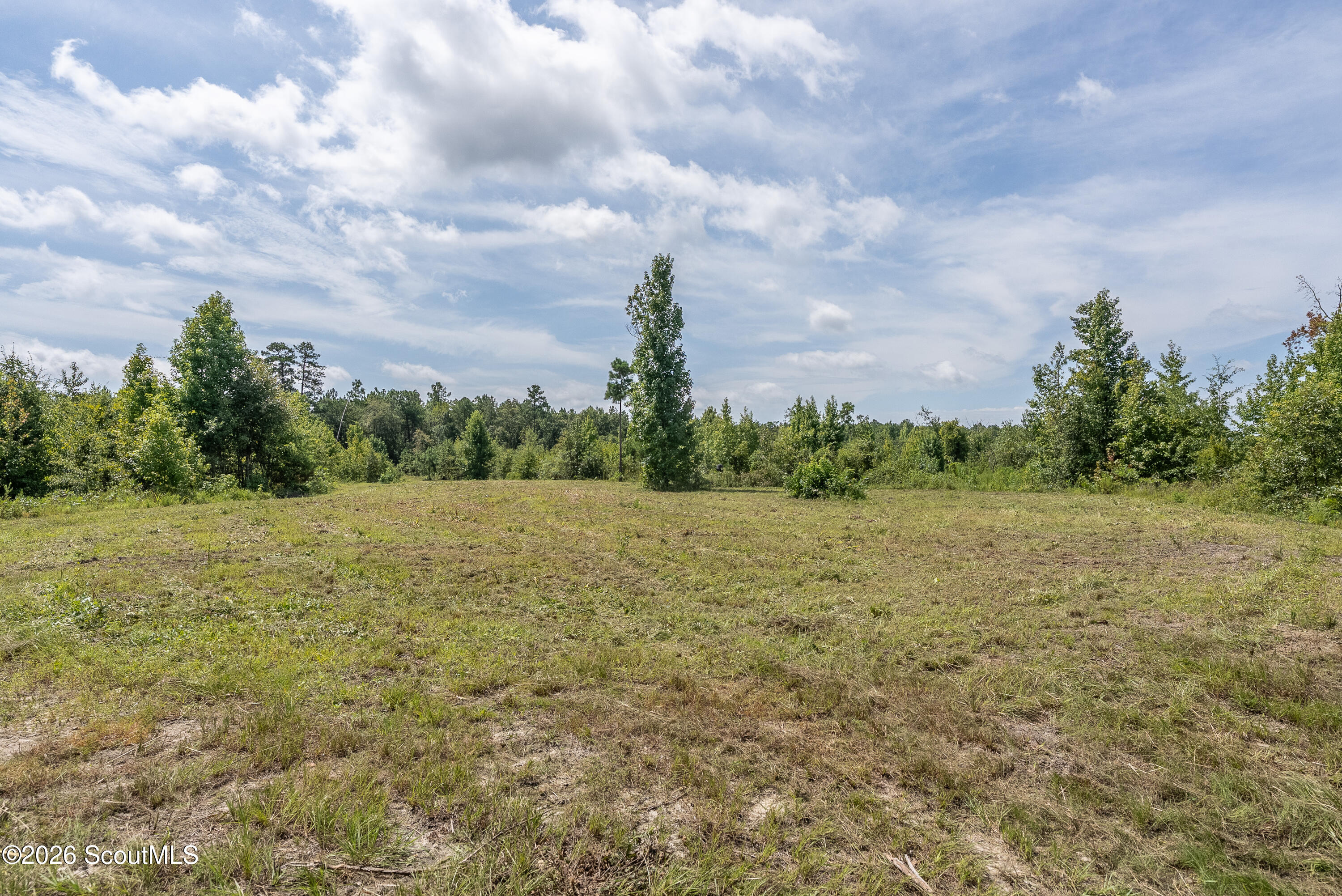 Nicholson-carr Nicholson-Carr Road Chester, GA 31012 - Photo 29 of 53 YODER-68-AC-27
