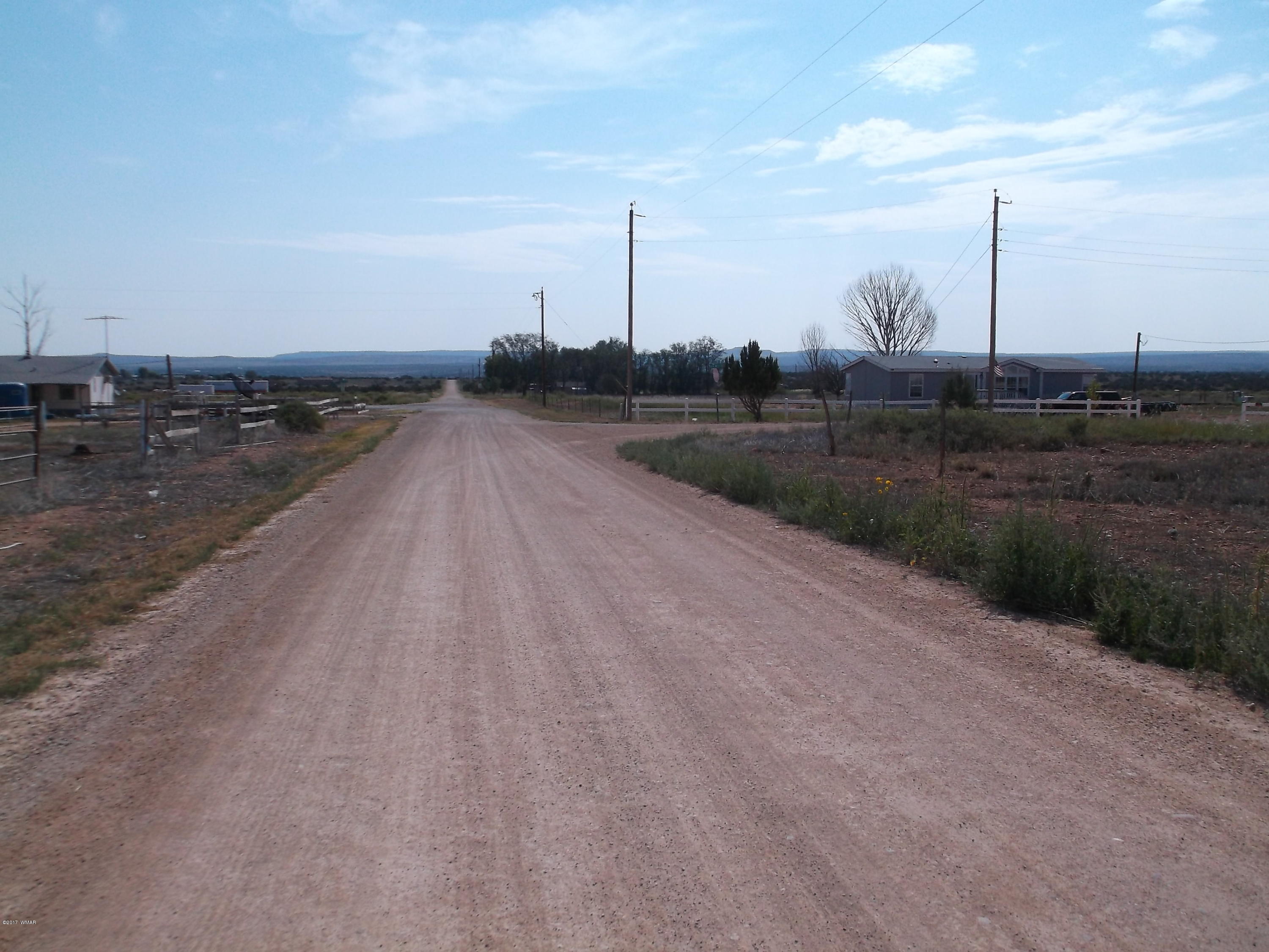 Lot 20 Mountain View Springerville, AZ 85938 - Photo 2 of 4