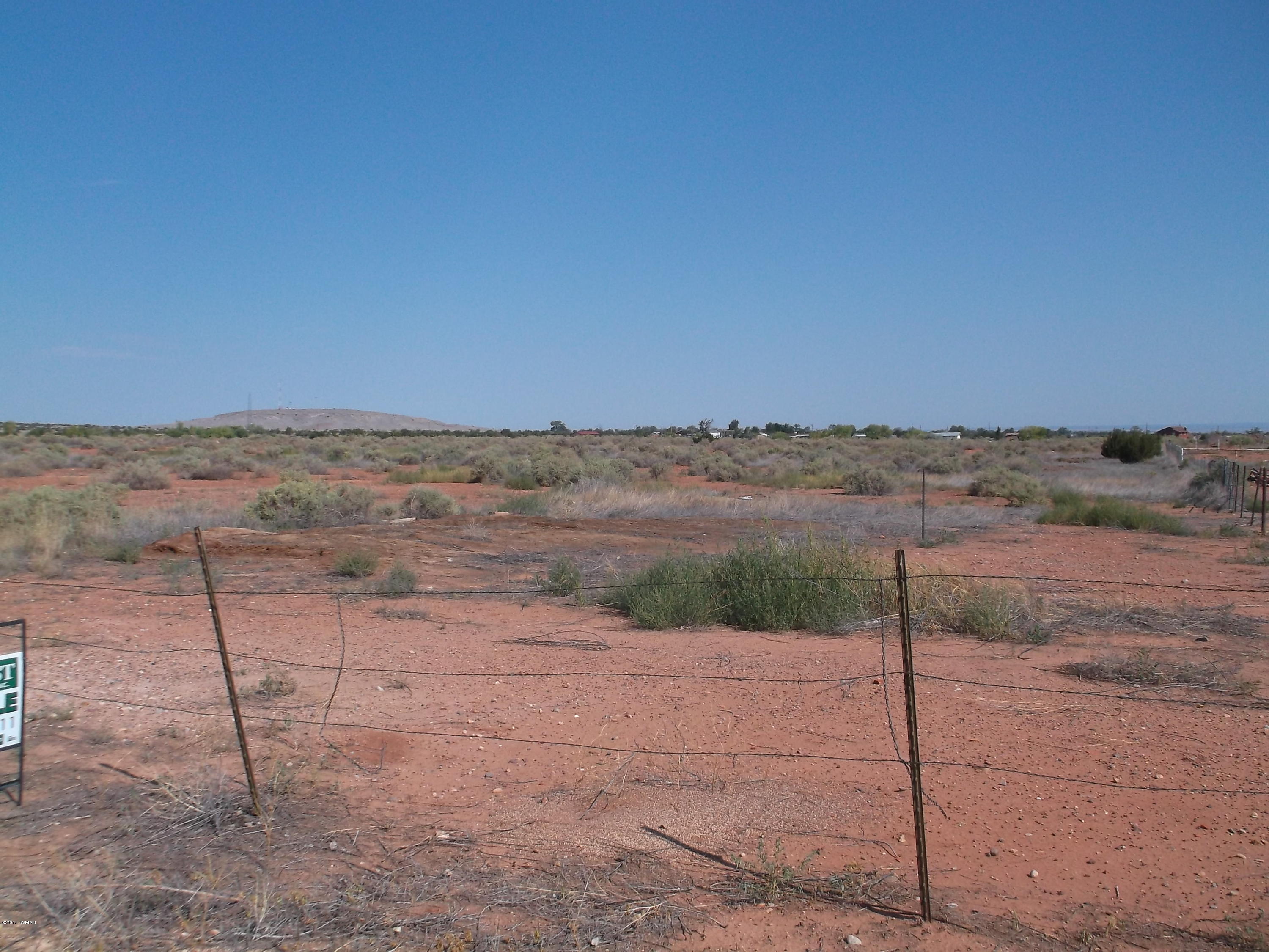 Lot 20 Mountain View Springerville, AZ 85938 - Photo 4 of 4