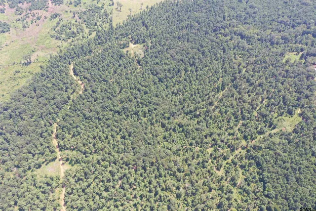 a bathroom with a shower curtain