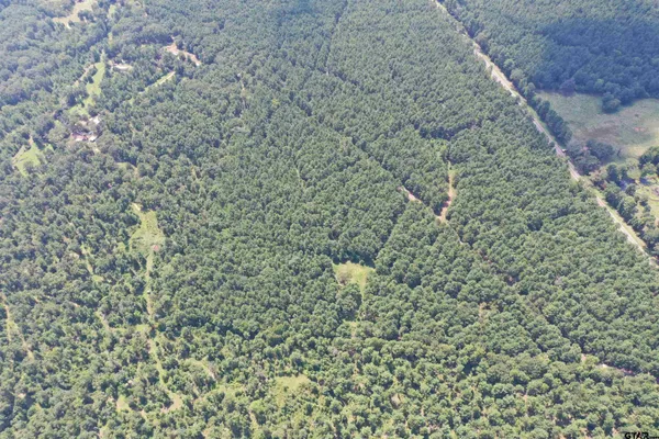 a bathroom with a shower curtain