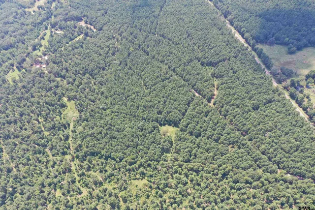a bathroom with a shower curtain