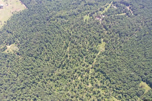 a bathroom with a shower curtain