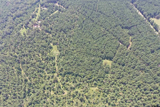 a bathroom with a shower curtain
