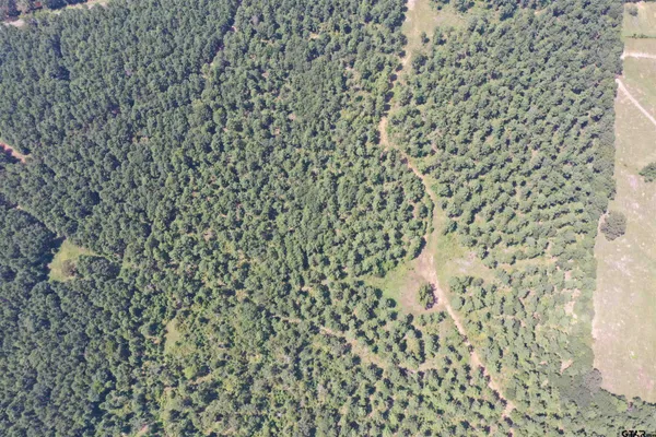 $785,000 | 84 East Rusk Tx 75785, Rusk, TX 75785