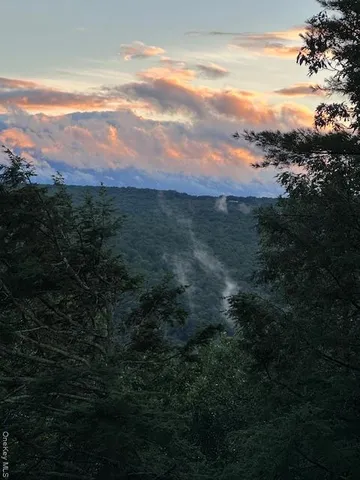 $725,000 | 385 Evergreen Lane, Narrowsburg, NY 12764