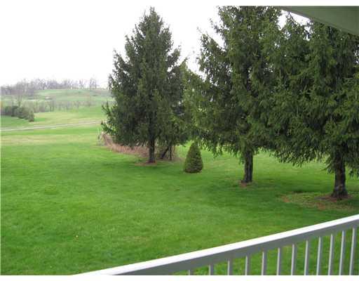 734 Armbrust - Hecla Road Mount Pleasant, PA 15666 - Photo 12 of 13 Yard/Garden.