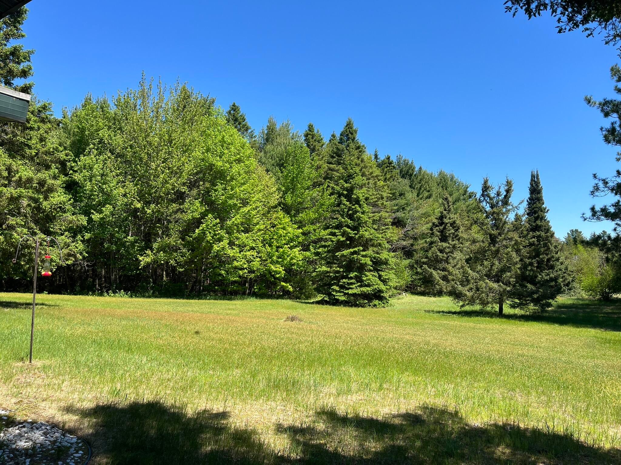 178 West 14 Mile Road Dafter, MI 49724 - Photo 48 of 52 Gallery Image 48