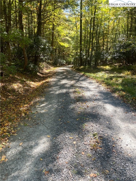 Folger Road Sparta, NC 28675 - Photo 8 of 10 Gallery Image 8