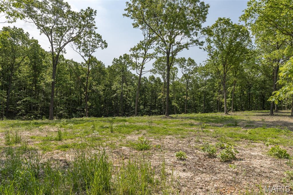 17760 Goose Creek Road Sullivan, MO 63080 - Photo 31 of 99