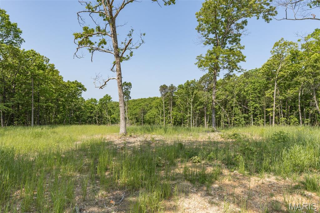 17760 Goose Creek Road Sullivan, MO 63080 - Photo 32 of 99