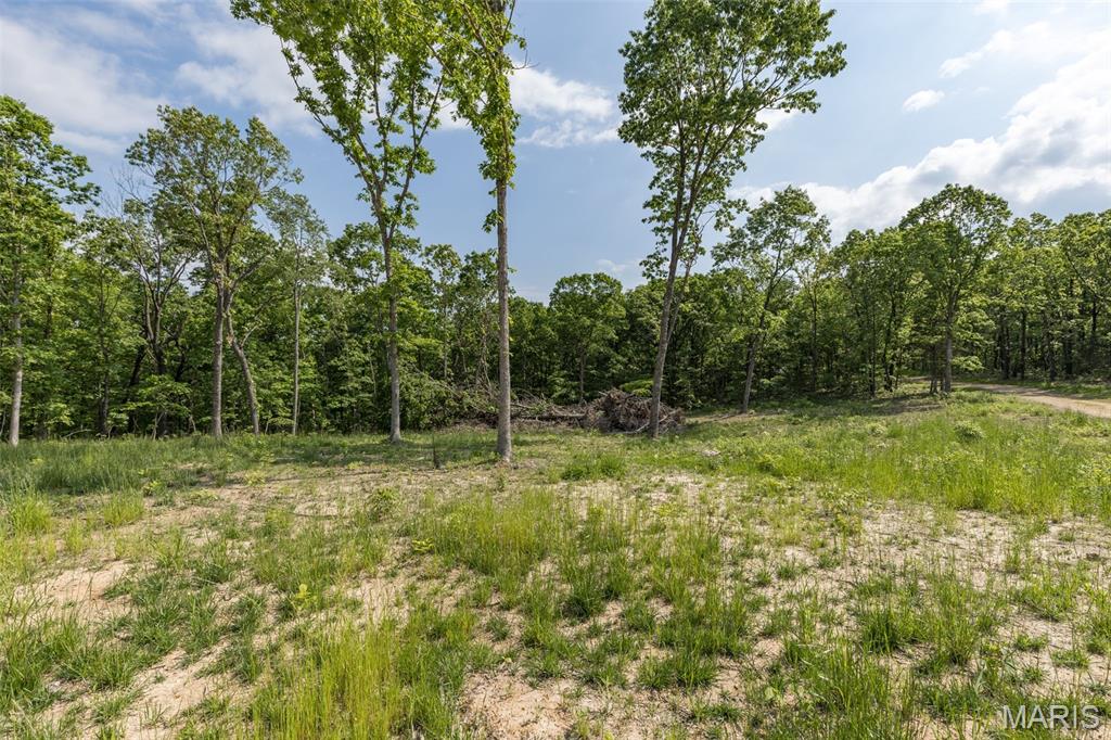 17760 Goose Creek Road Sullivan, MO 63080 - Photo 33 of 99