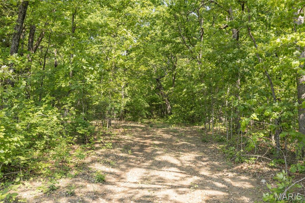 17760 Goose Creek Road Sullivan, MO 63080 - Photo 34 of 99
