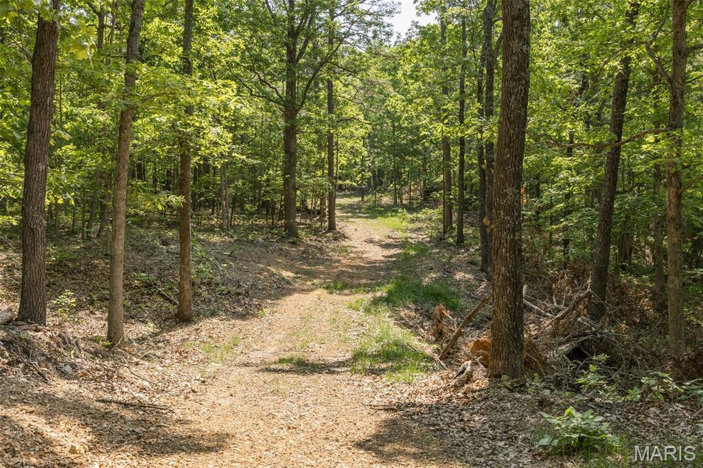 17760 Goose Creek Road Sullivan, MO 63080 - Photo 35 of 99