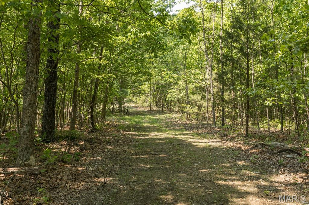 17760 Goose Creek Road Sullivan, MO 63080 - Photo 36 of 99