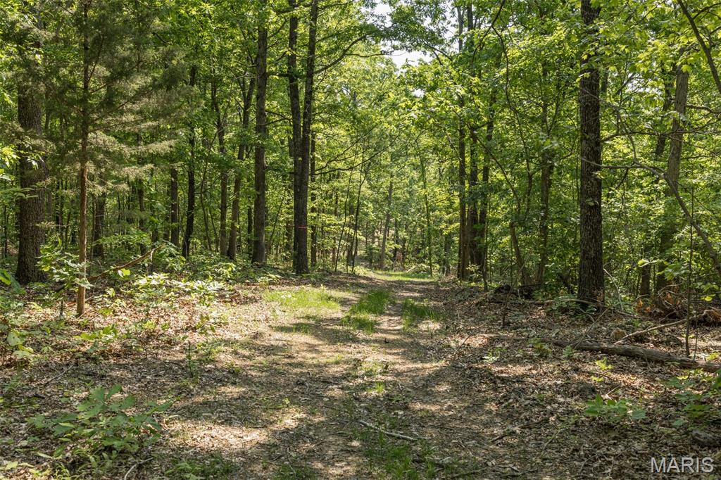 17760 Goose Creek Road Sullivan, MO 63080 - Photo 37 of 99