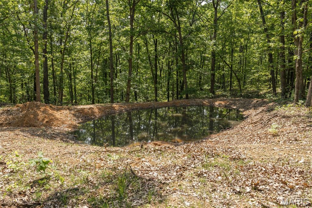 17760 Goose Creek Road Sullivan, MO 63080 - Photo 38 of 99