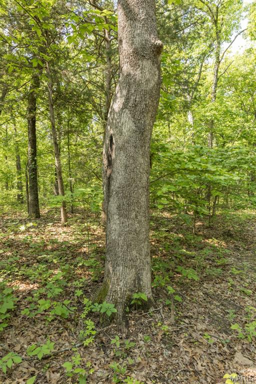 17760 Goose Creek Road Sullivan, MO 63080 - Photo 39 of 99