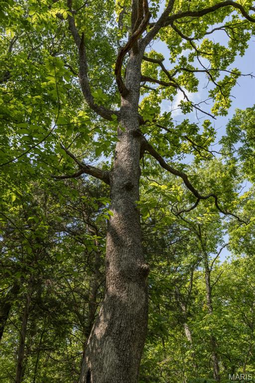 17760 Goose Creek Road Sullivan, MO 63080 - Photo 40 of 99