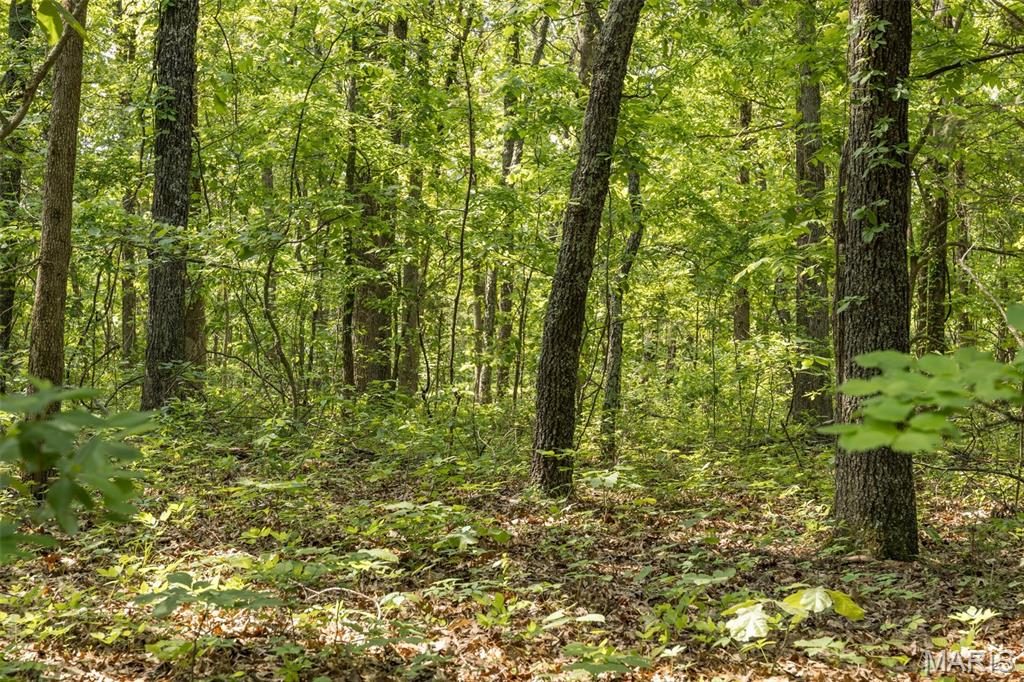 17760 Goose Creek Road Sullivan, MO 63080 - Photo 41 of 99