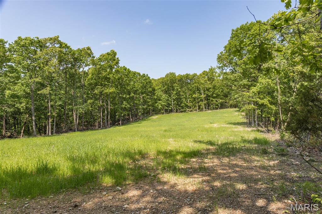 17760 Goose Creek Road Sullivan, MO 63080 - Photo 42 of 99