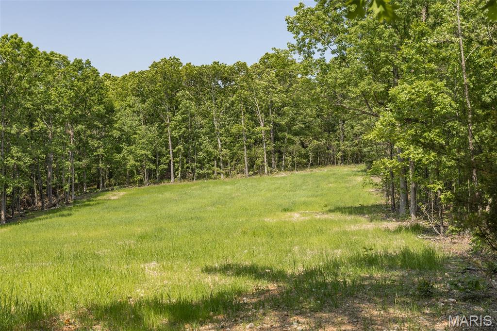 17760 Goose Creek Road Sullivan, MO 63080 - Photo 43 of 99