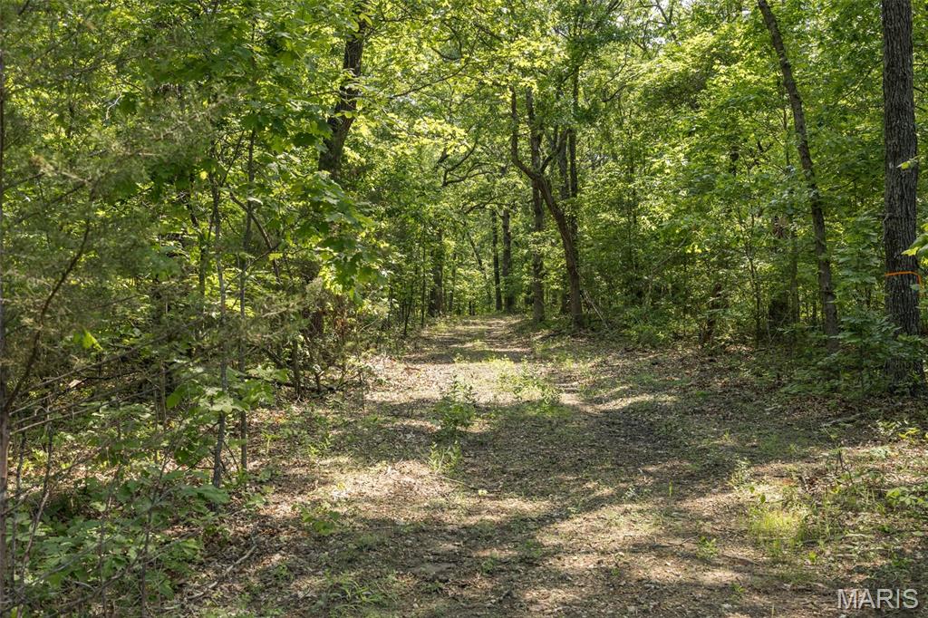 17760 Goose Creek Road Sullivan, MO 63080 - Photo 44 of 99