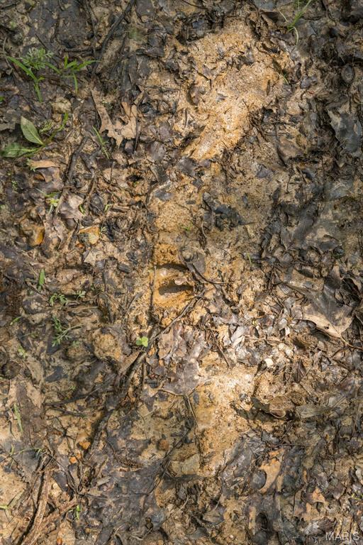 17760 Goose Creek Road Sullivan, MO 63080 - Photo 45 of 99